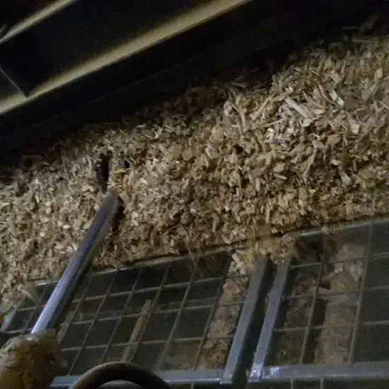 Vibrating sieve for biomass and fuel screening – Green Energy Systems